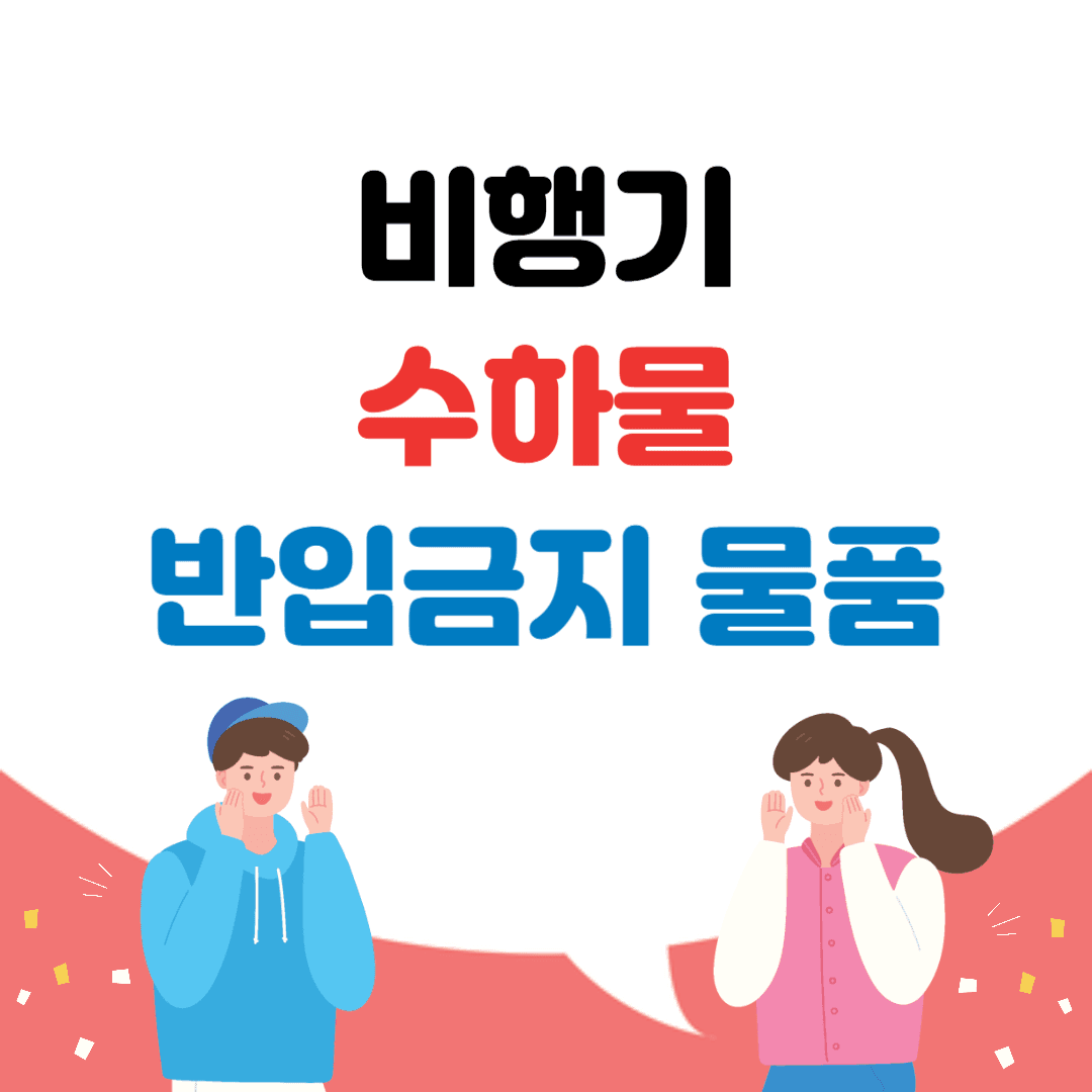비행기 수하물
